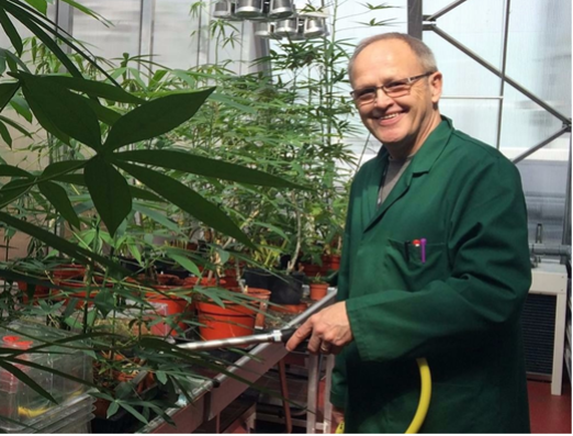 Tom Pitman in a green lab coat tending to some plants